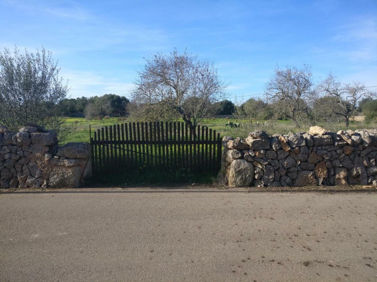 Casa Farah Mallorca Ferienhaus Ses Salines (Mallorca)
