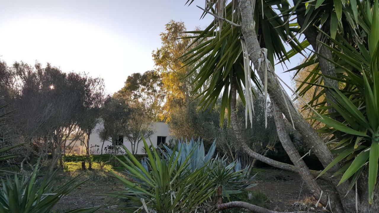 Ferienhaus Casa Farah Mallorca Ses Salines (Mallorca)