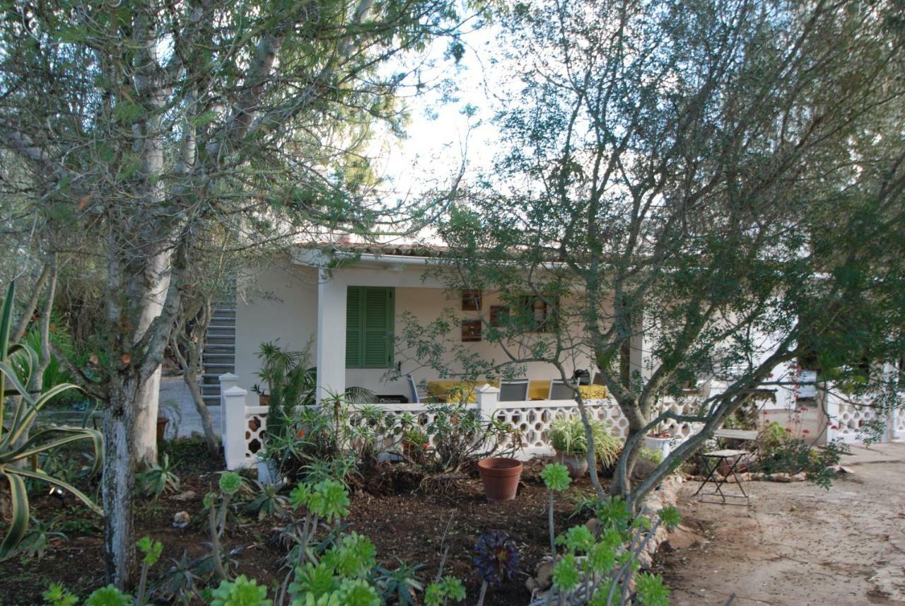 Casa Farah Mallorca Ses Salines (Mallorca)