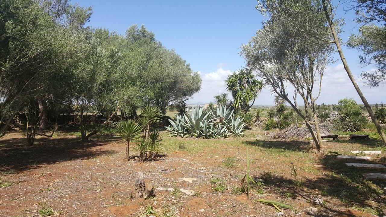 Ferienhaus Casa Farah Mallorca Ses Salines (Mallorca)
