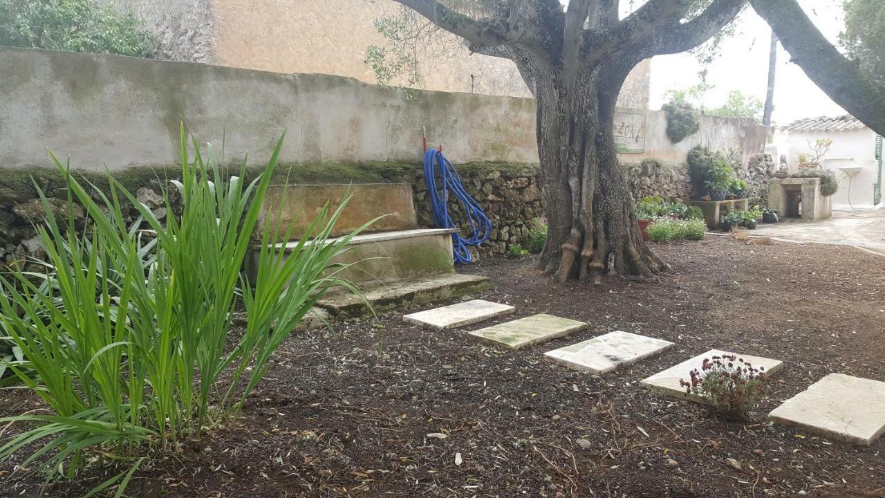 Ferienhaus Casa Farah Mallorca Ses Salines (Mallorca)