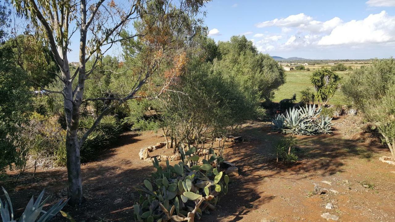 Casa Farah Mallorca Ferienhaus