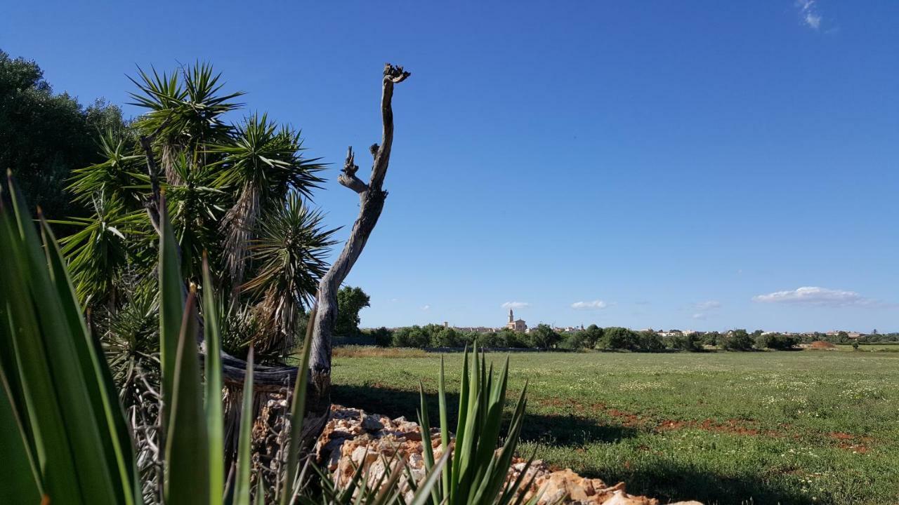 Casa Farah Mallorca *