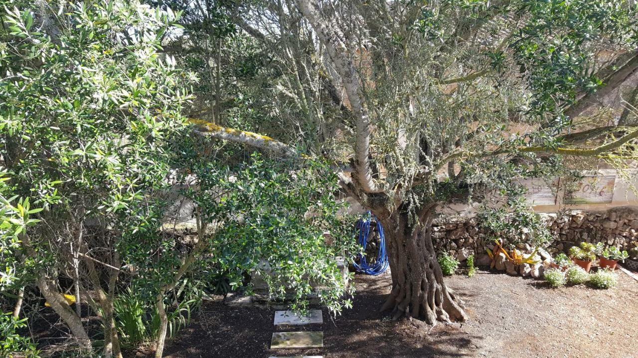 Casa Farah Mallorca